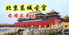 欧美人xbxbxb大片中国北京-东城古宫旅游风景区